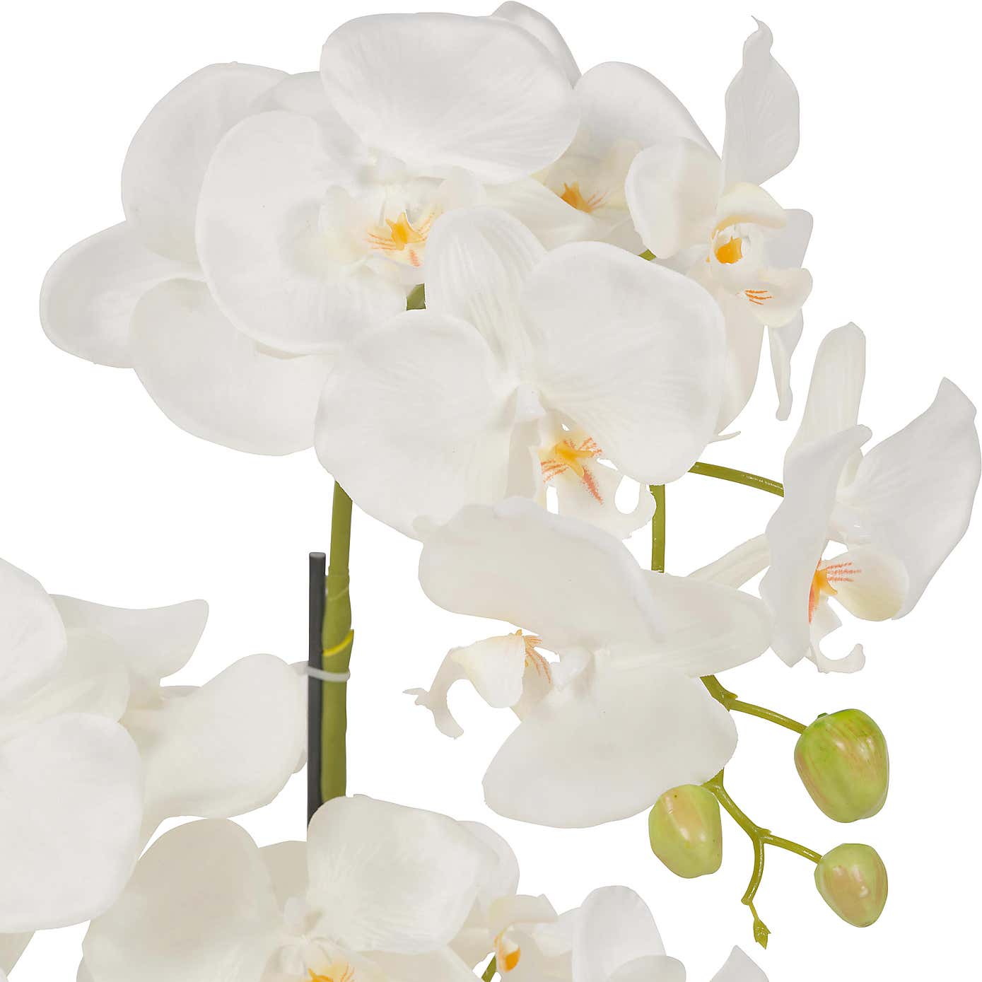 Artificial White Orchid in Moss Plant Pot