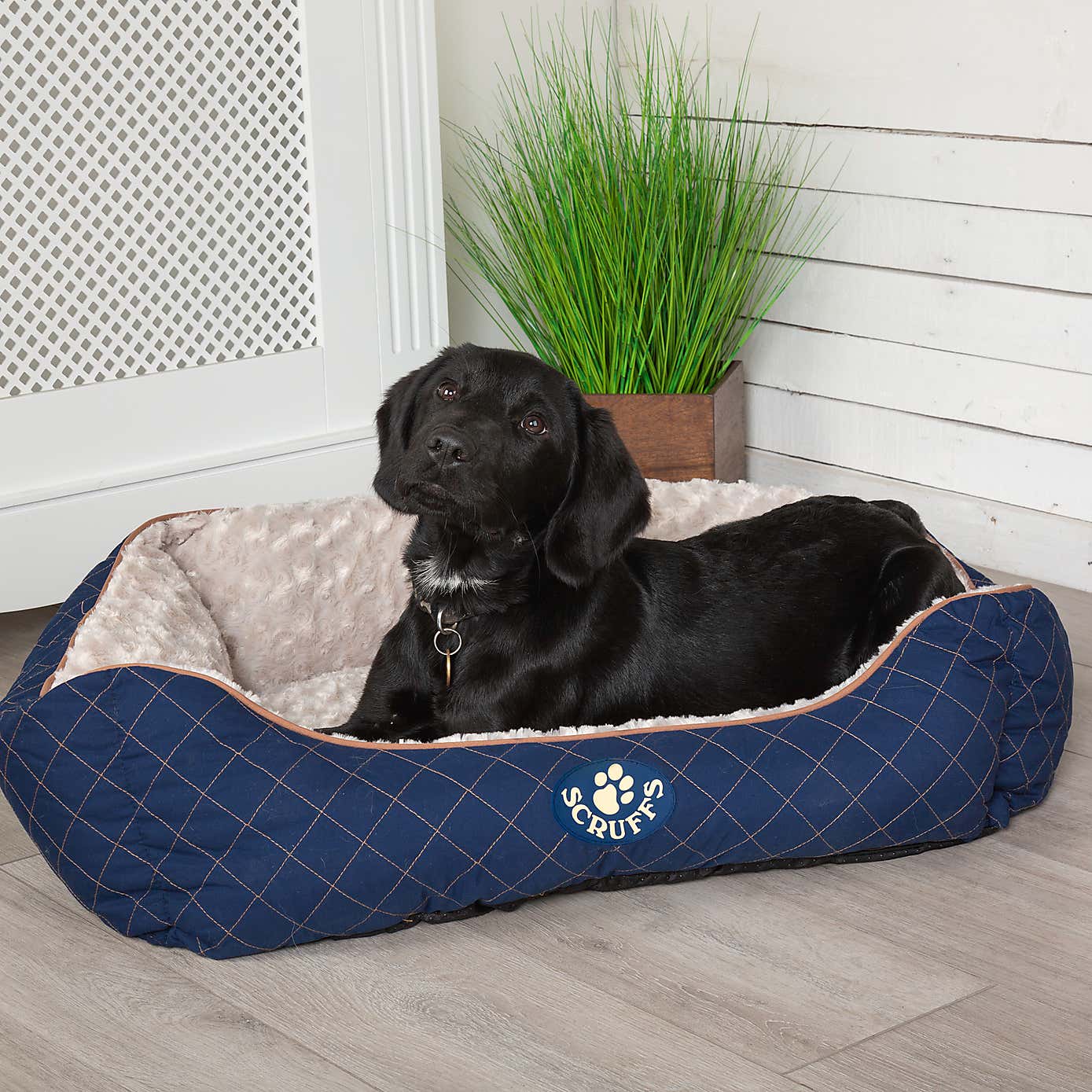 Scruffs Pet Wilton Box Bed