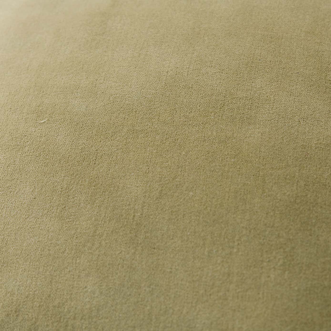 Clara Cotton Velvet Cushion