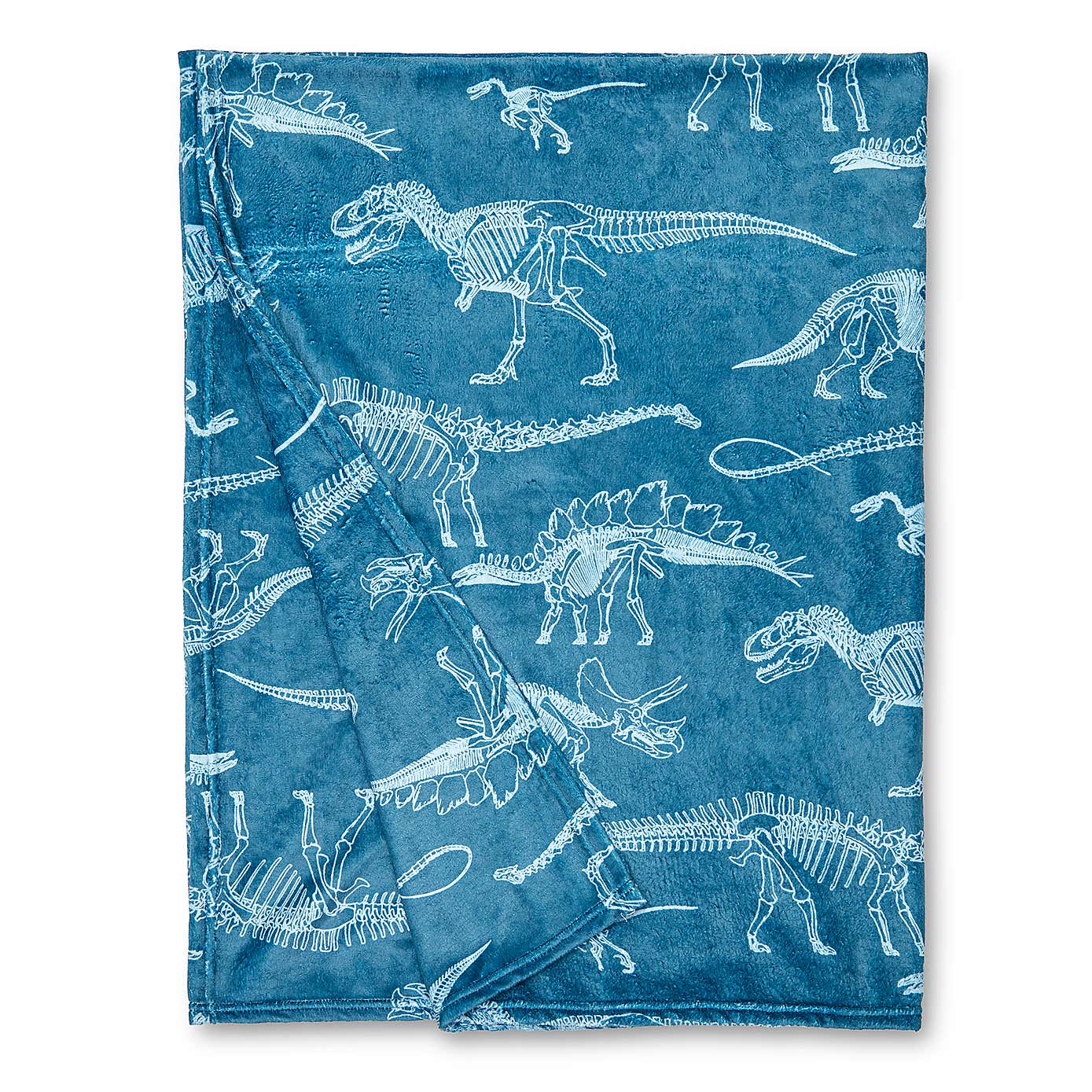 Age of Dinosaurs Blanket