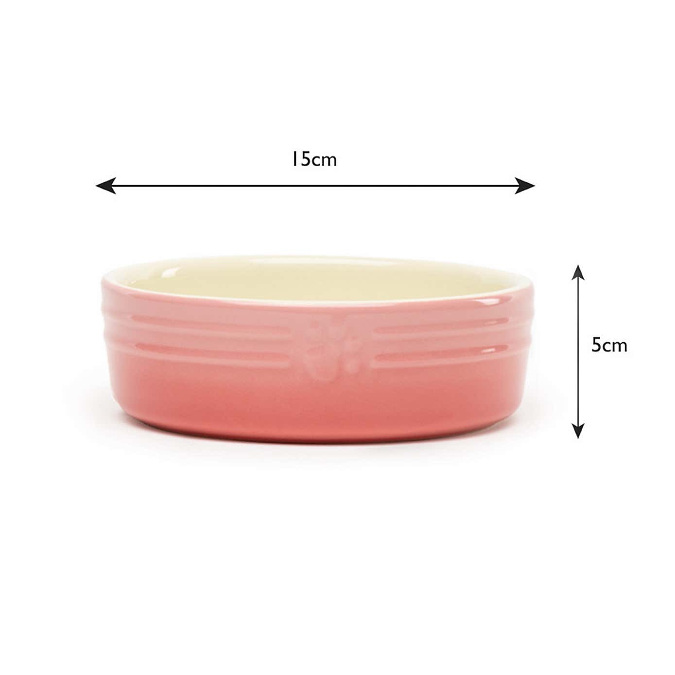 Set of 2 Scruffs Ombre Bowls