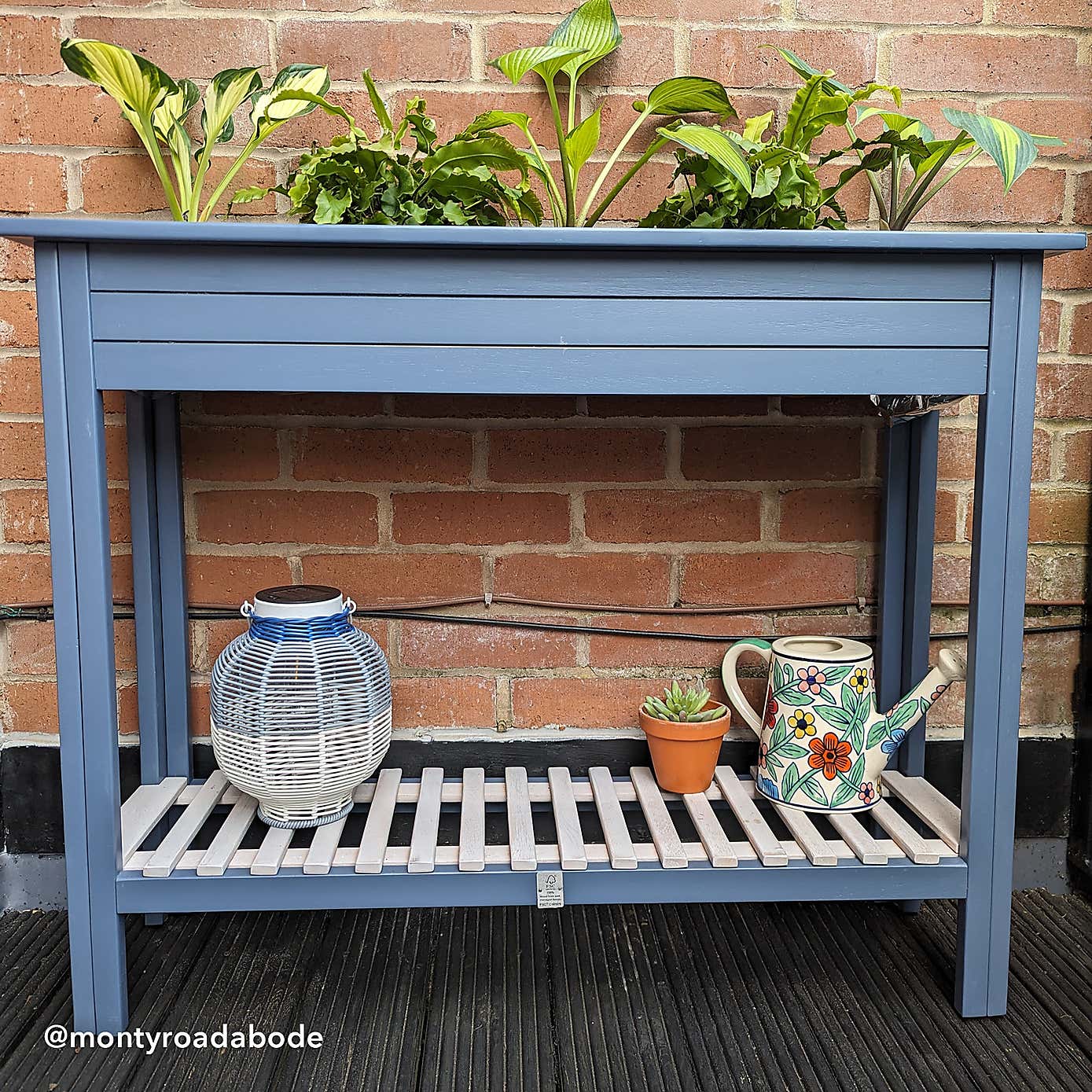 Galaxy Planter and Tray