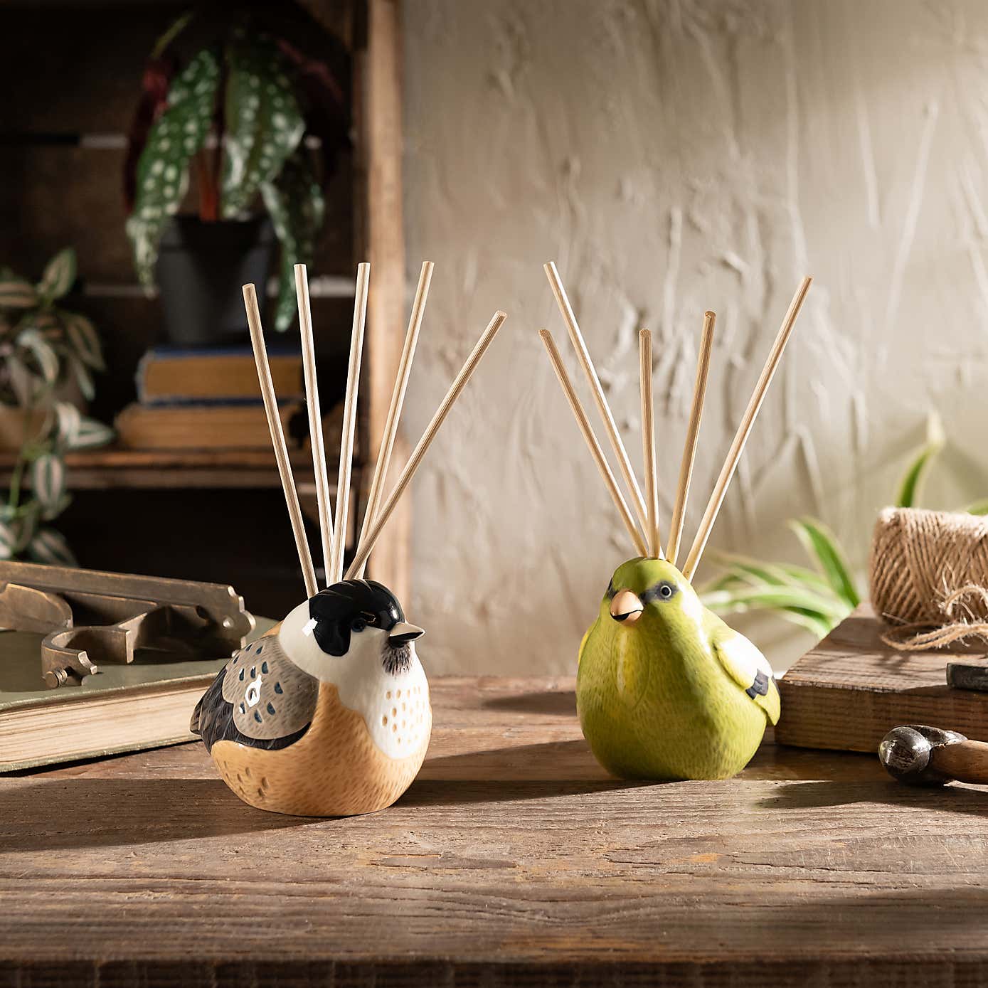 Willow Tit Sandalwood, Amber & Cedar Diffuser