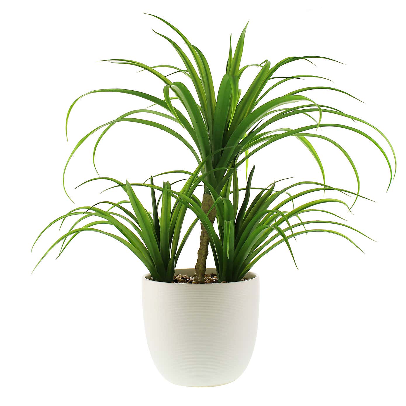 Artificial Yucca Plant in White Ceramic Plant Pot