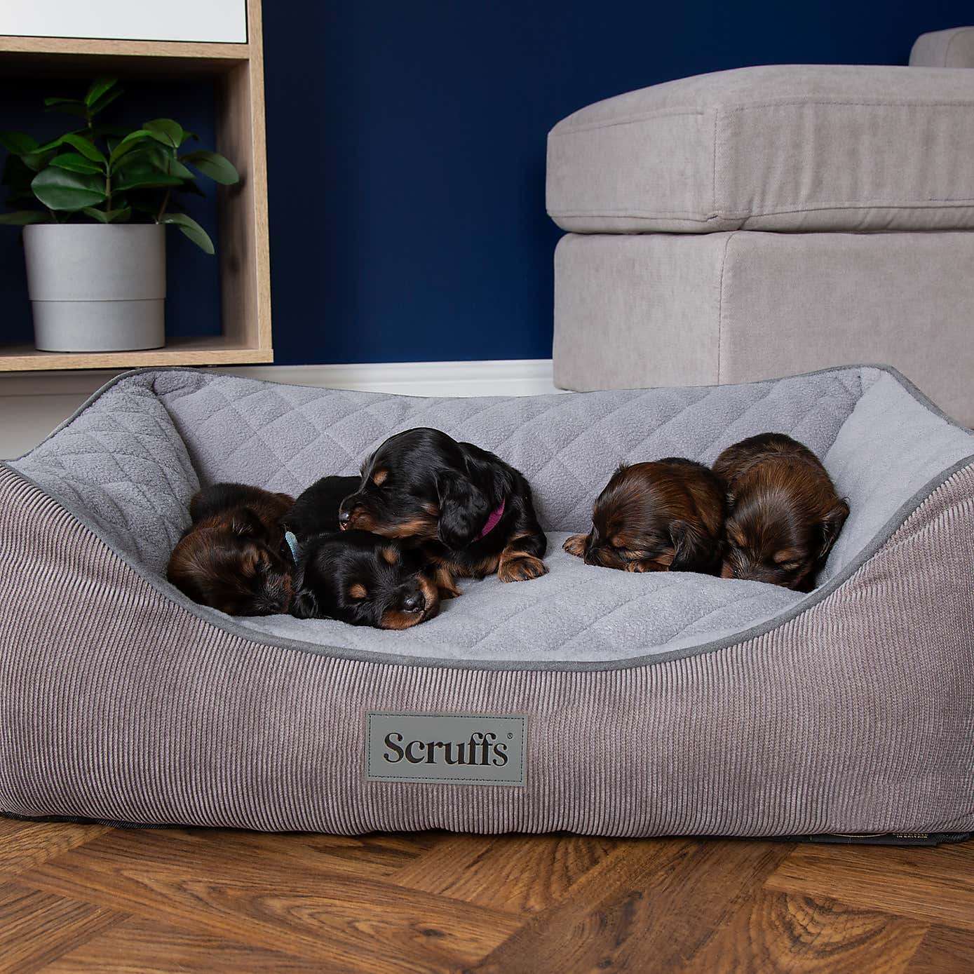 Scruffs Self Heating Thermal Dog Box Bed
