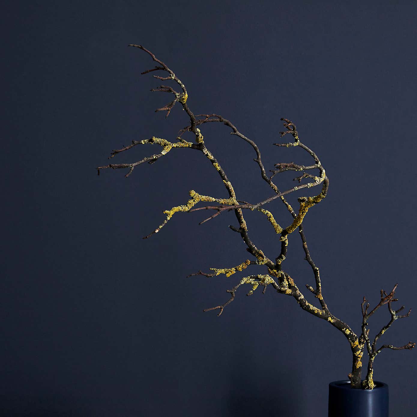 Dunelm Luxe Navy Eggshell Emulsion Paint