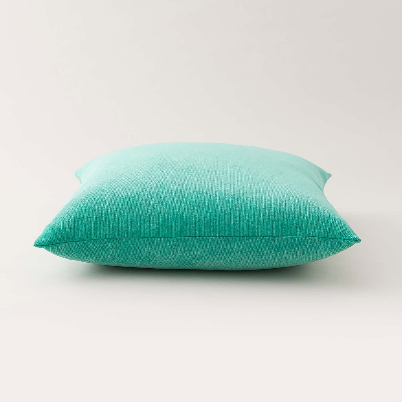 Velour Cushion