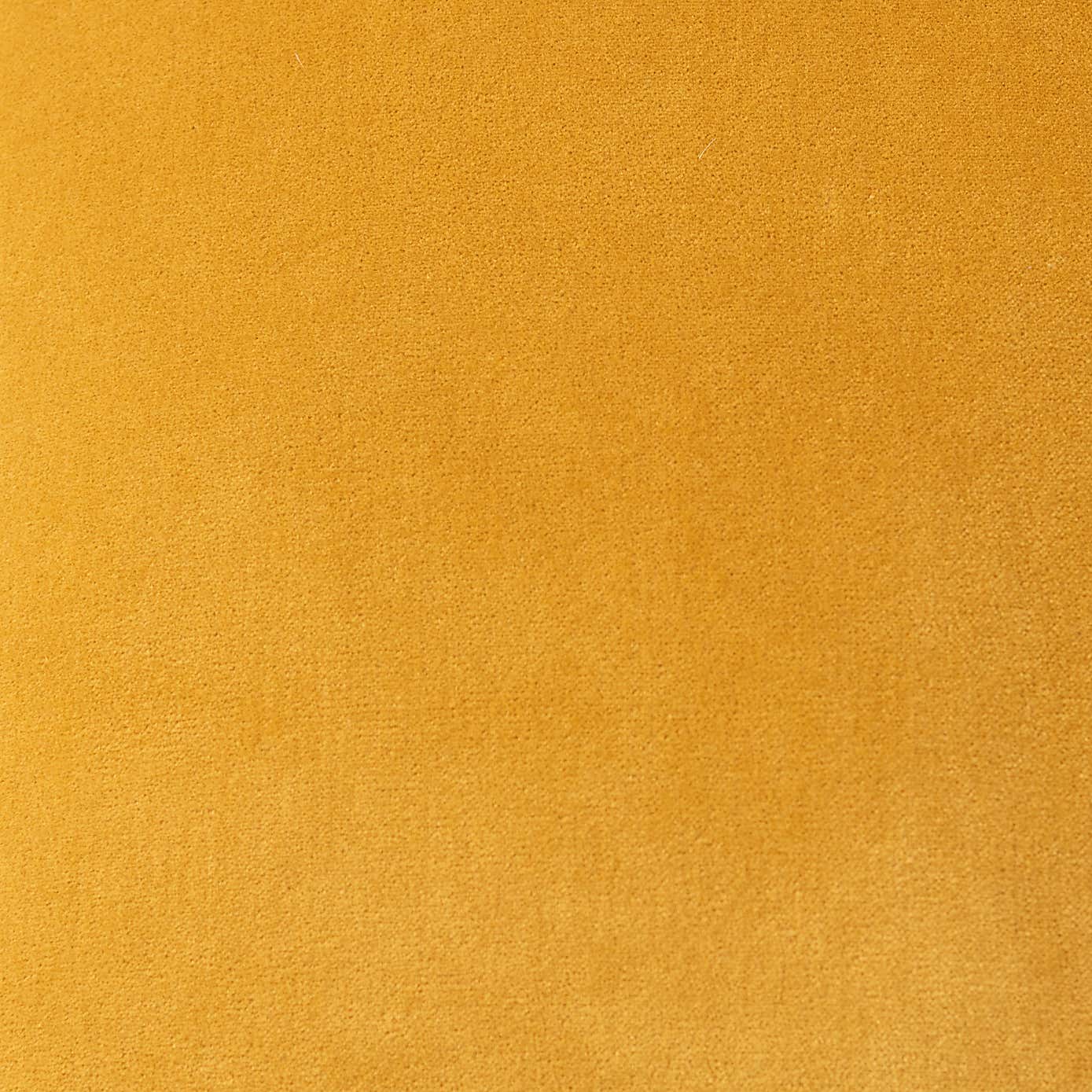 Clara Cotton Velvet Cushion