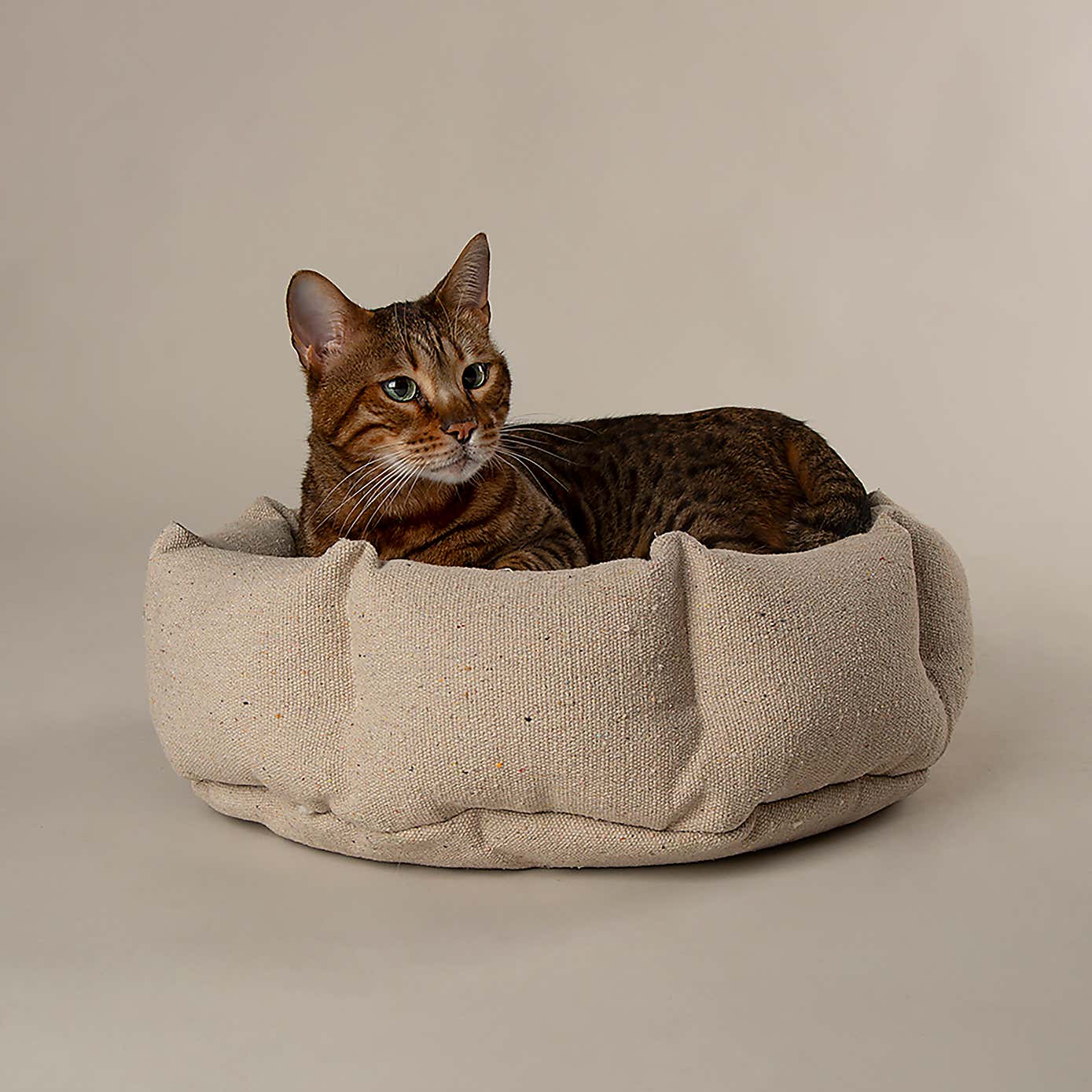Scruffs 100% Recycled Eden Cat Small Dog Bed