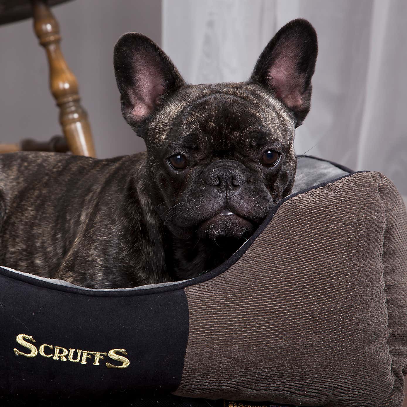 Scruffs Pet Chester Box Bed