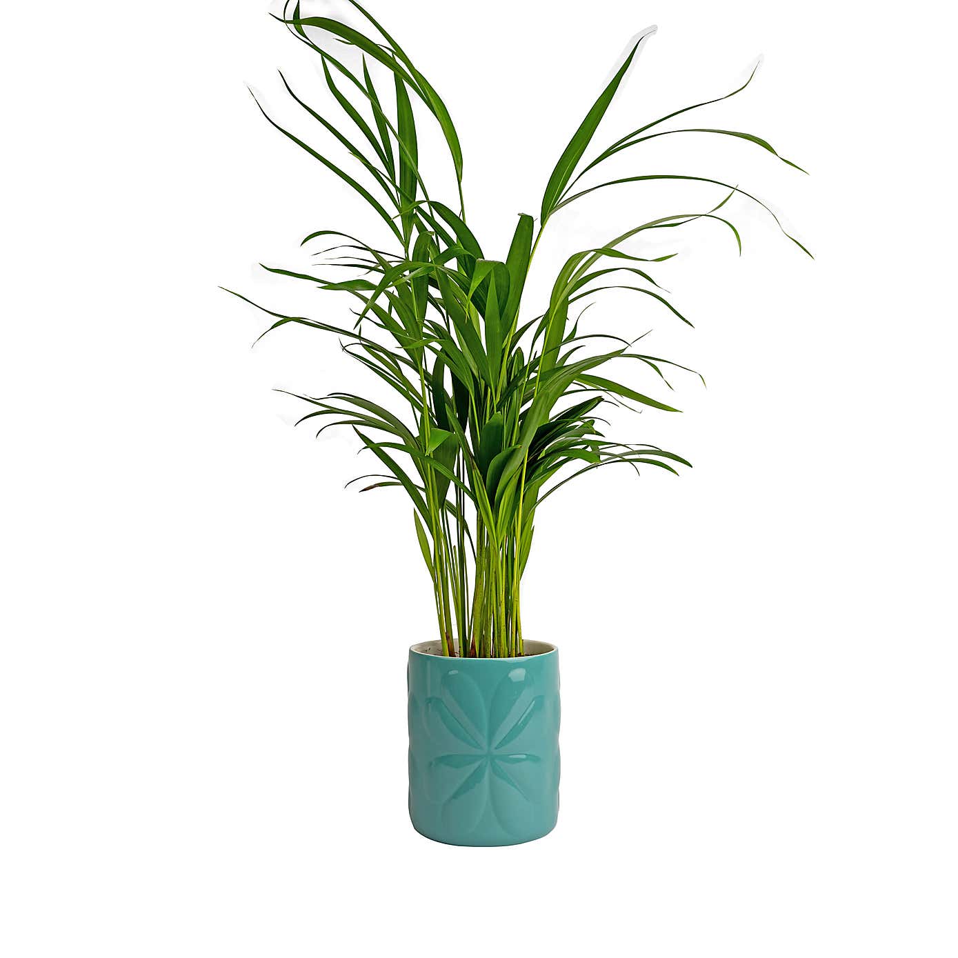 Navigate Carnaby Ceramic Embossed Pot