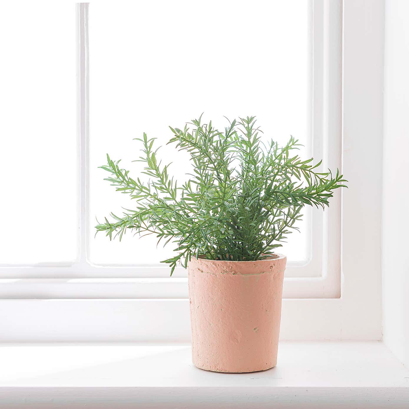 Artificial Thyme in Orange Cement Plant Pot