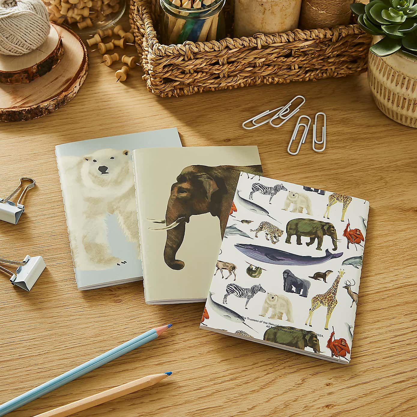 Set of 3 Mammals Softcover Notebooks