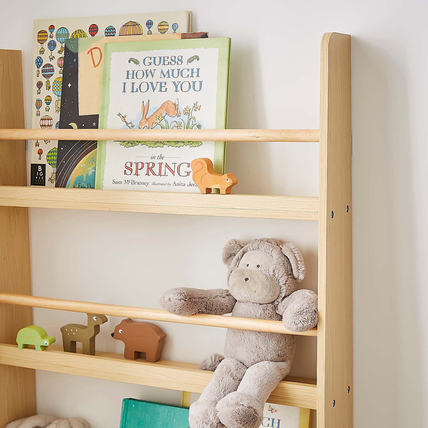 Wall Mounted Book Shelf