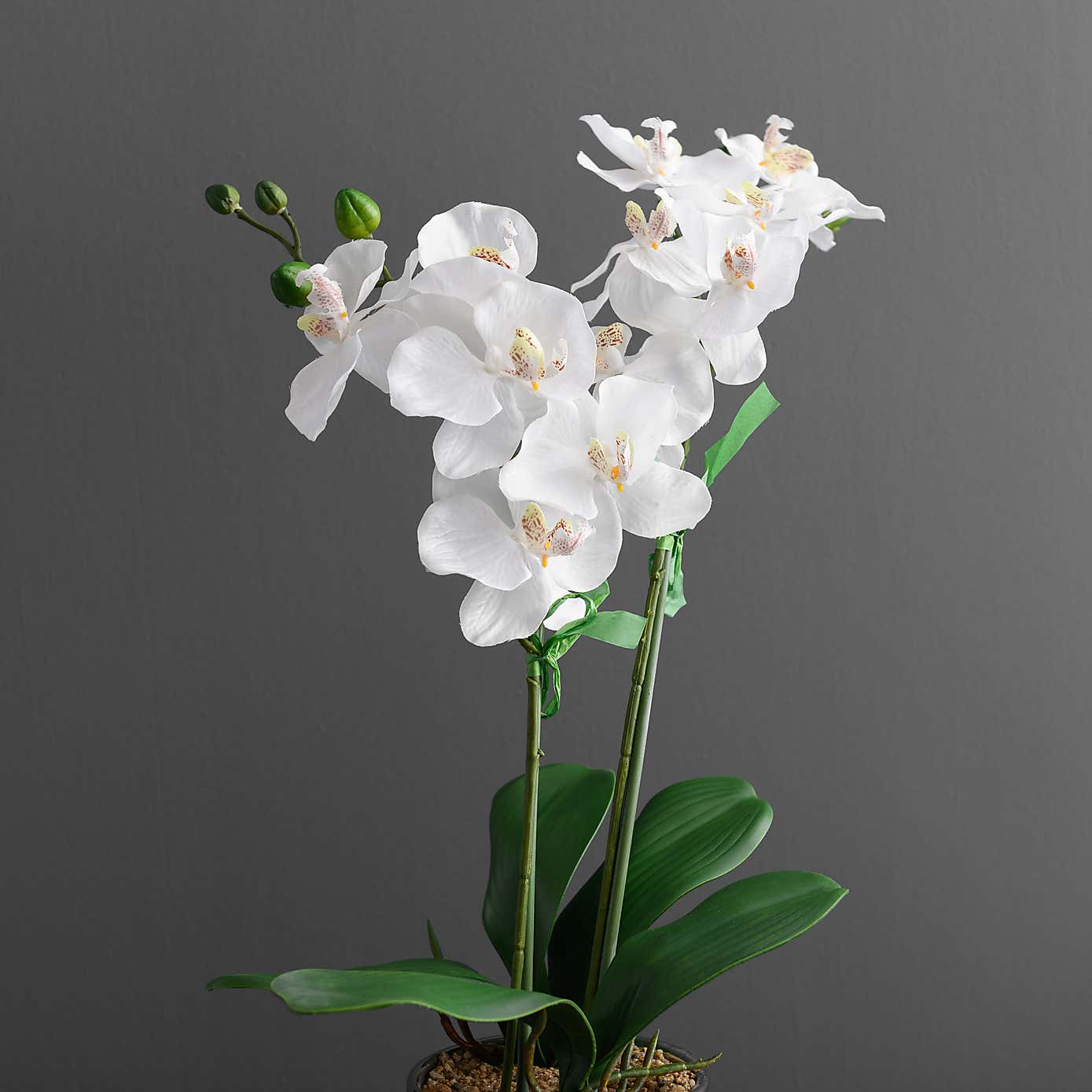 Artificial Orchid White In Silver Pot