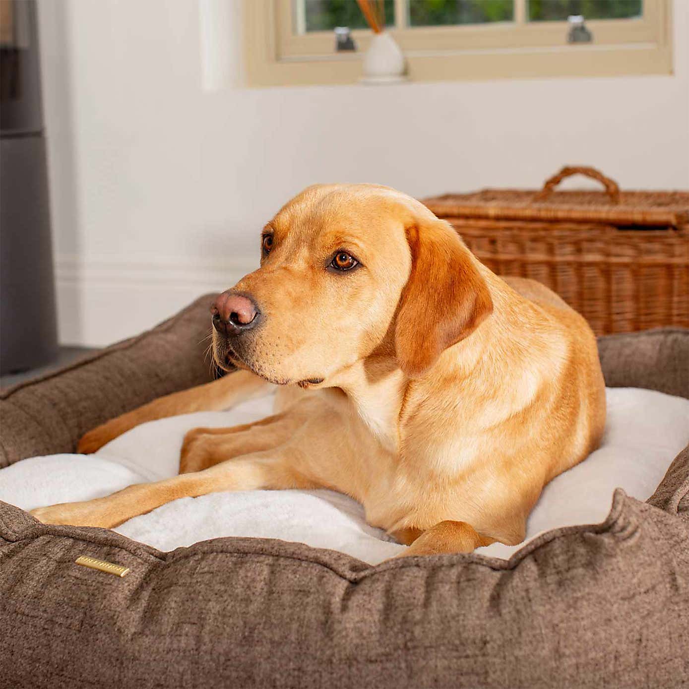 Lords and Labradors Inchmurrin Box Dog Bed