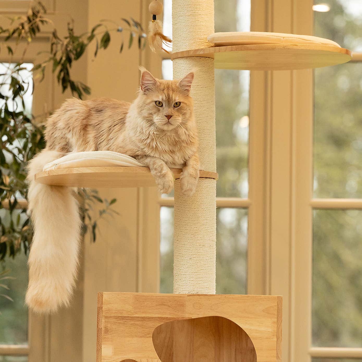 Lords and Labradors Fit Me Cat Play Centre