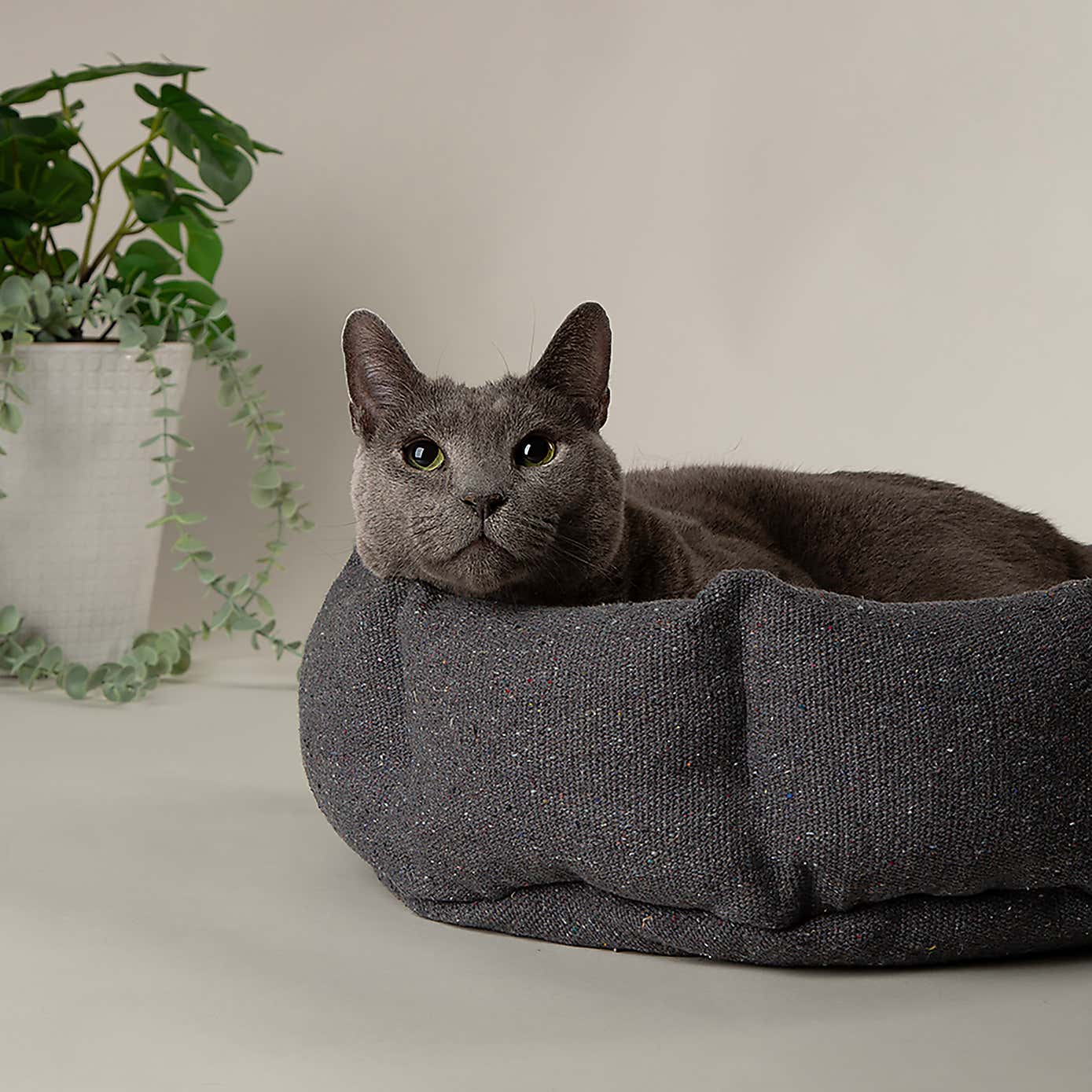 Scruffs 100% Recycled Eden Cat Small Dog Bed
