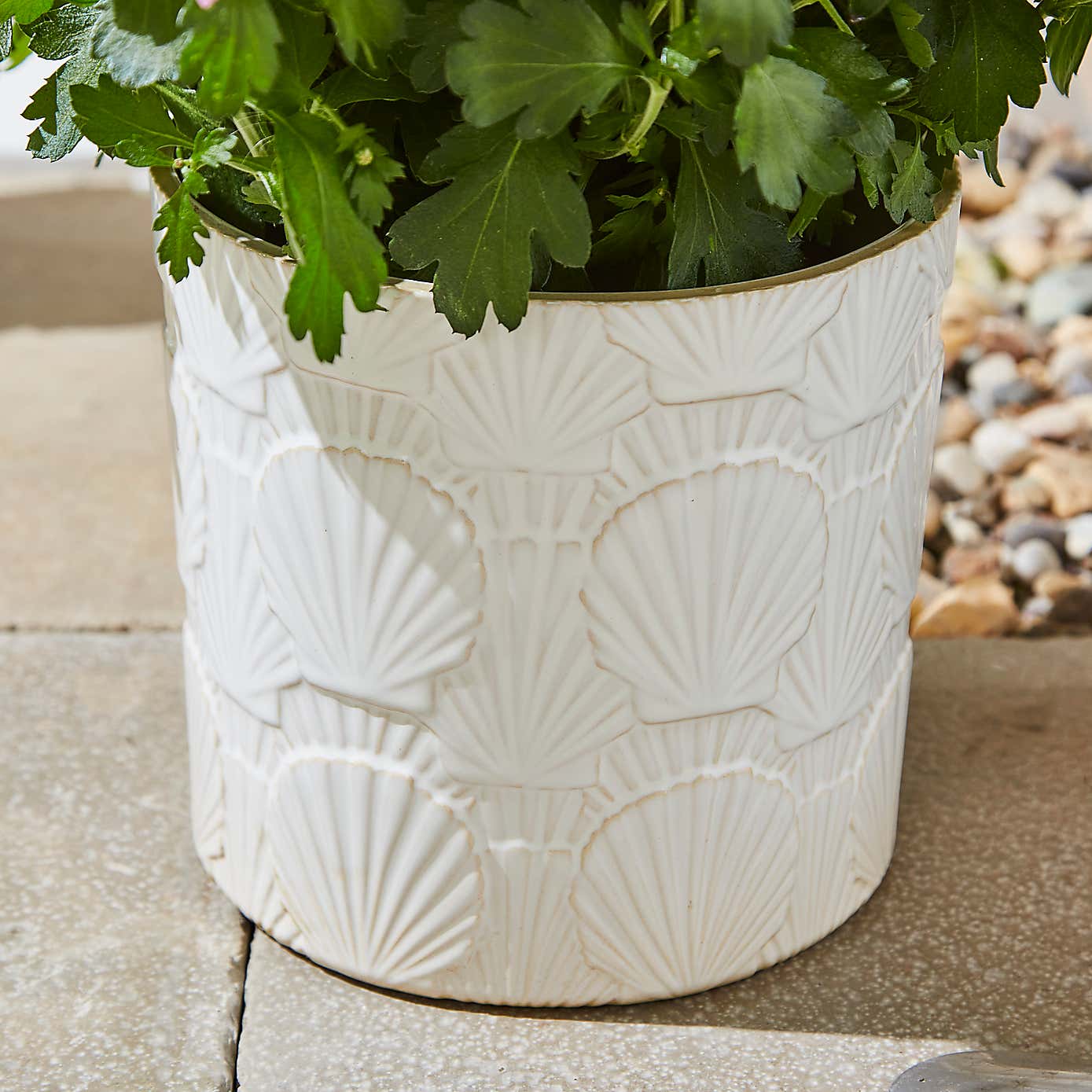 Seashell Textured Ceramic Plant Pot
