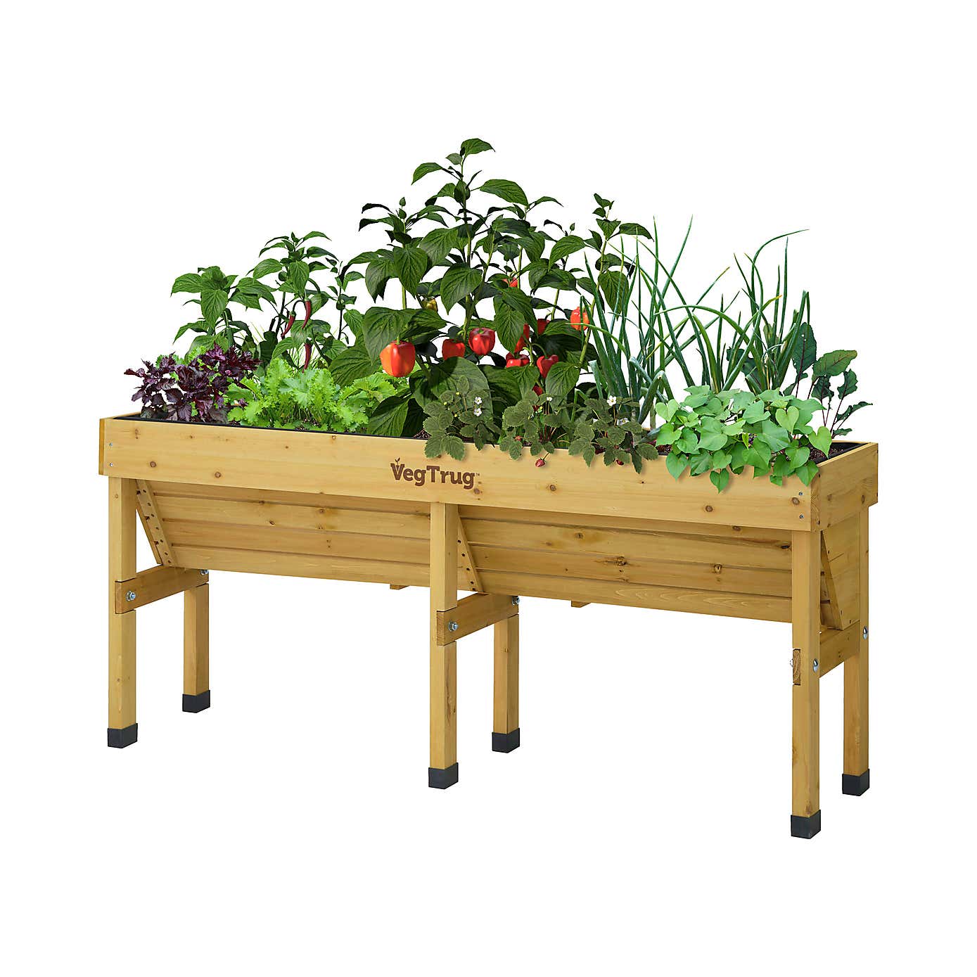 VegTrug Medium Wall Hugger