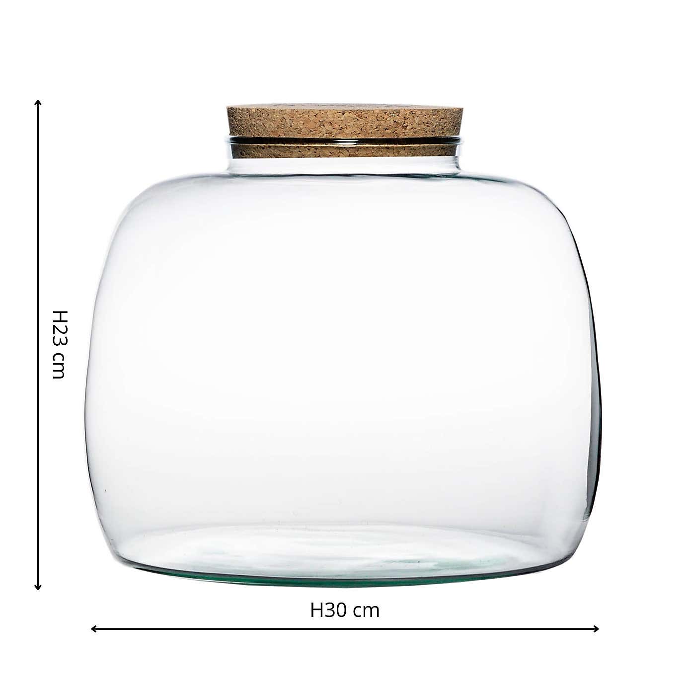 Bowl Shape Large Terrarium DIY Kit