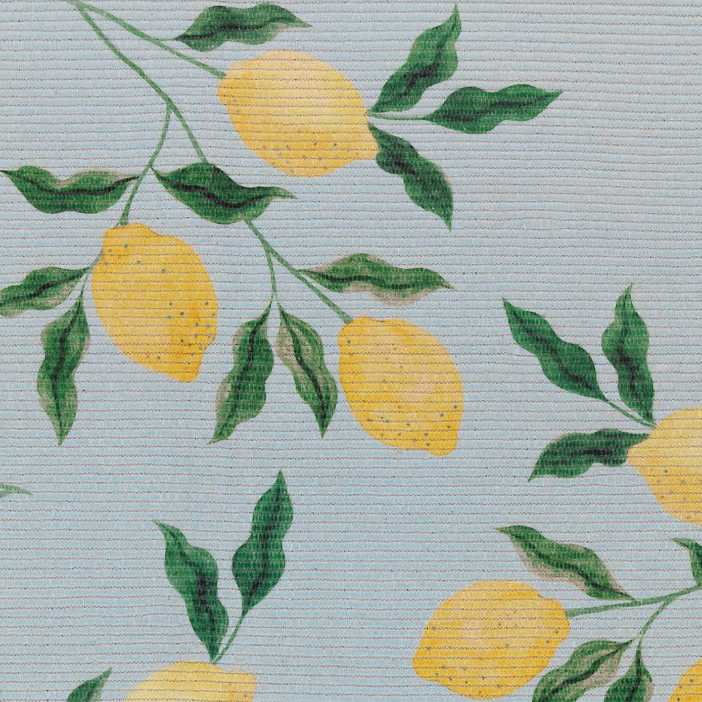 furn Lemons Indoor Outdoor Rug