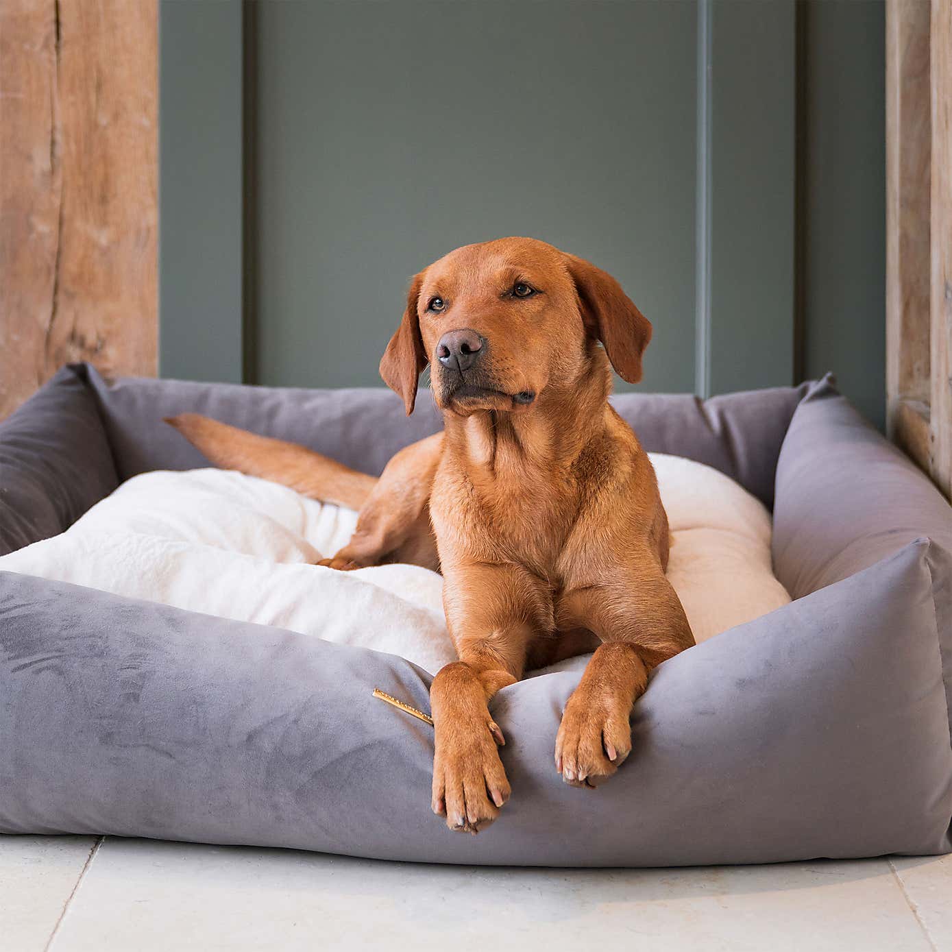 Lords and Labradors Velvet Box Dog Bed