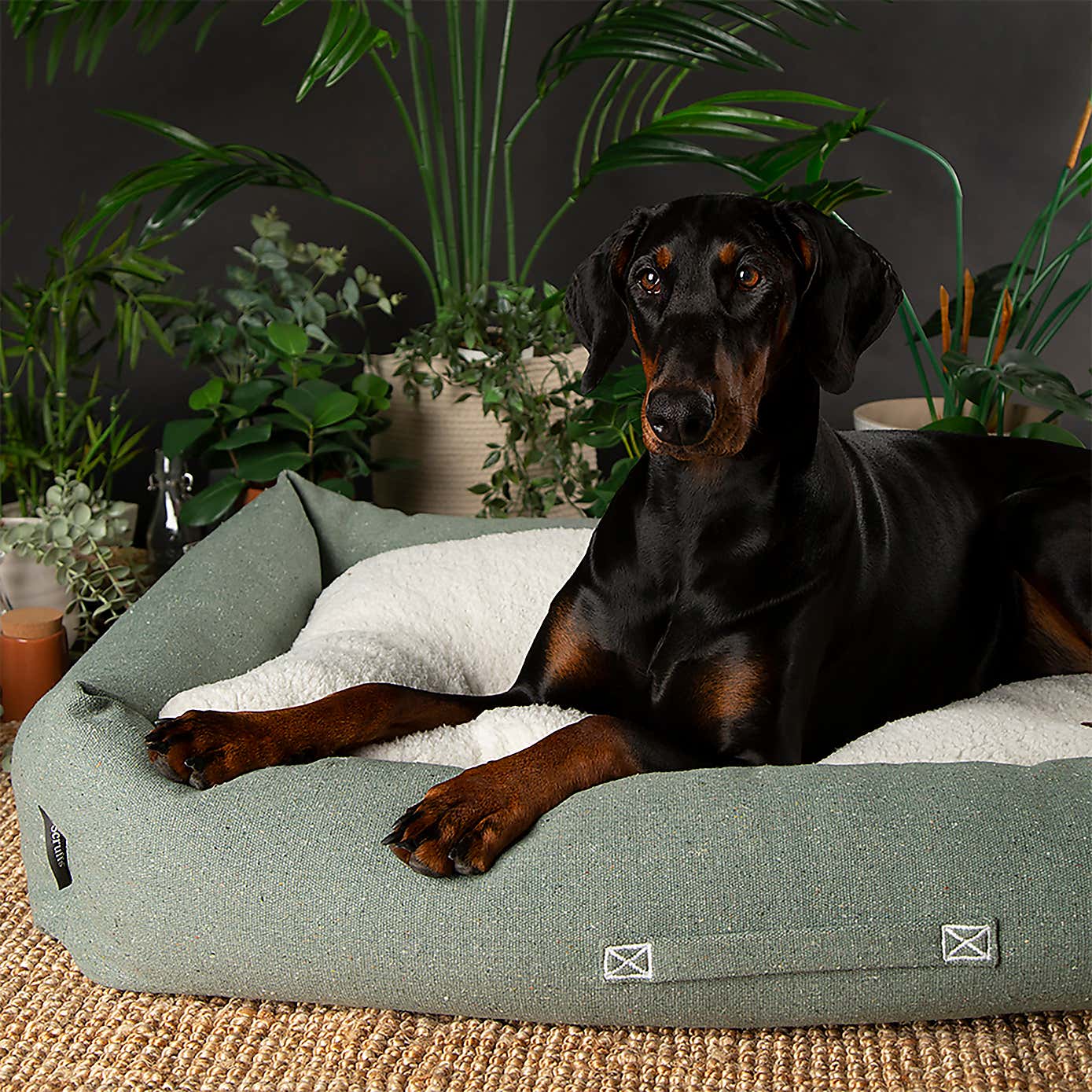 Scruffs 100% Recycled Eden Dog Box Bed