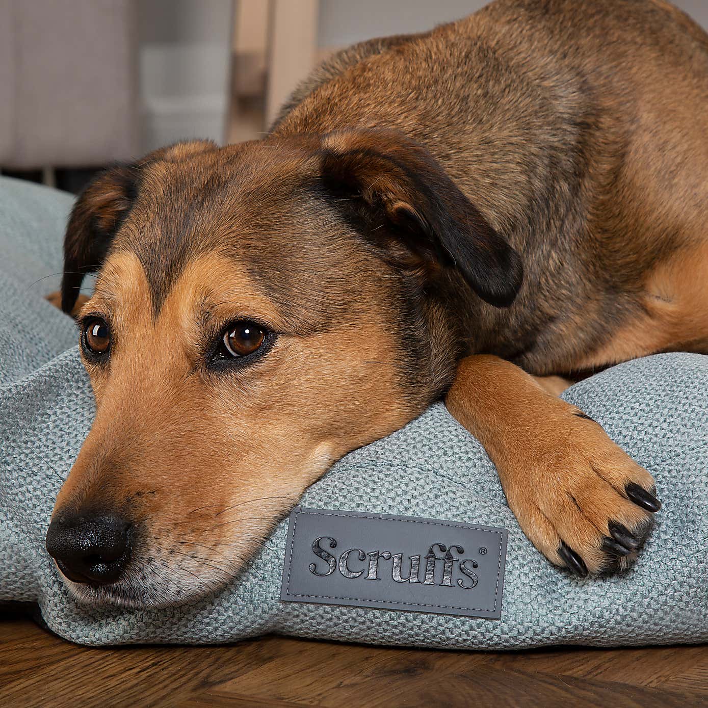 Scruffs Seattle Mattress