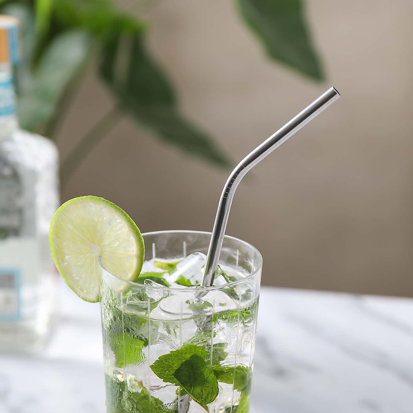 Stainless Steel Reusable Straw