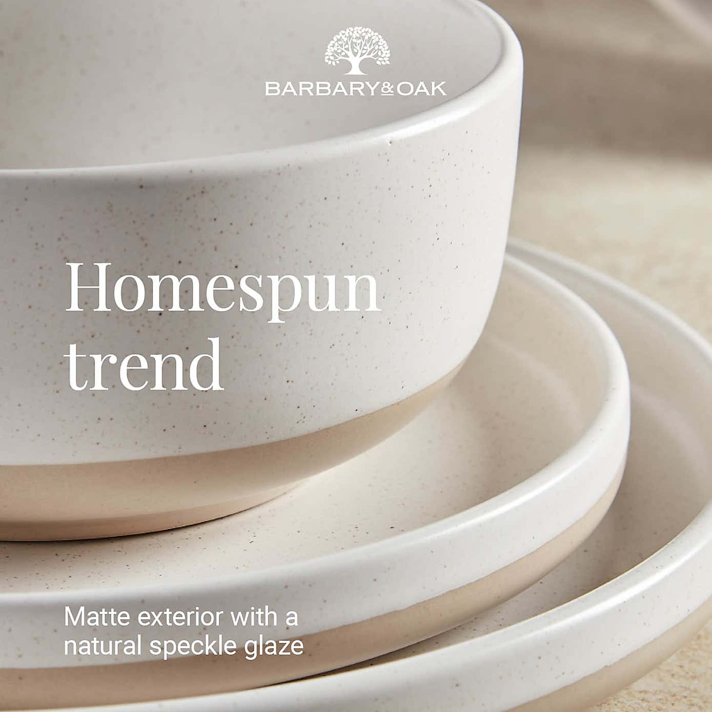 Barbary & Oak Avena Stoneware 16 Piece Dinner Set