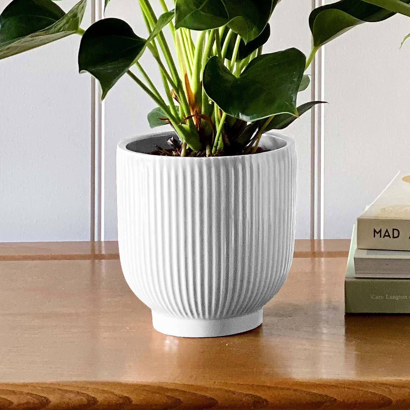 Beards & Daisies Air Purifying Pair Peace Lily and Peach Anthurium House Plant in Ribbed Pot