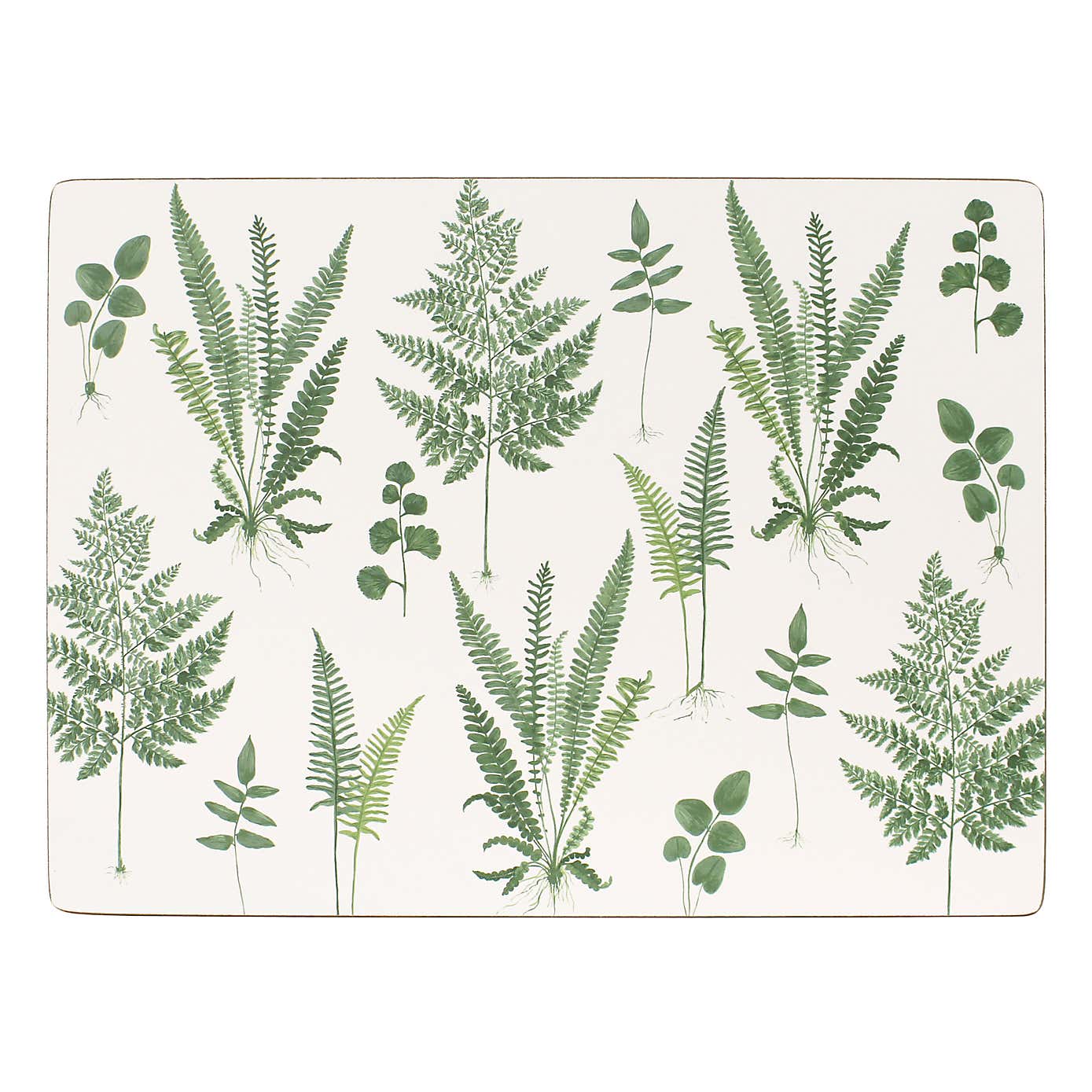 Fern Pack of 4 Corkback Placemats