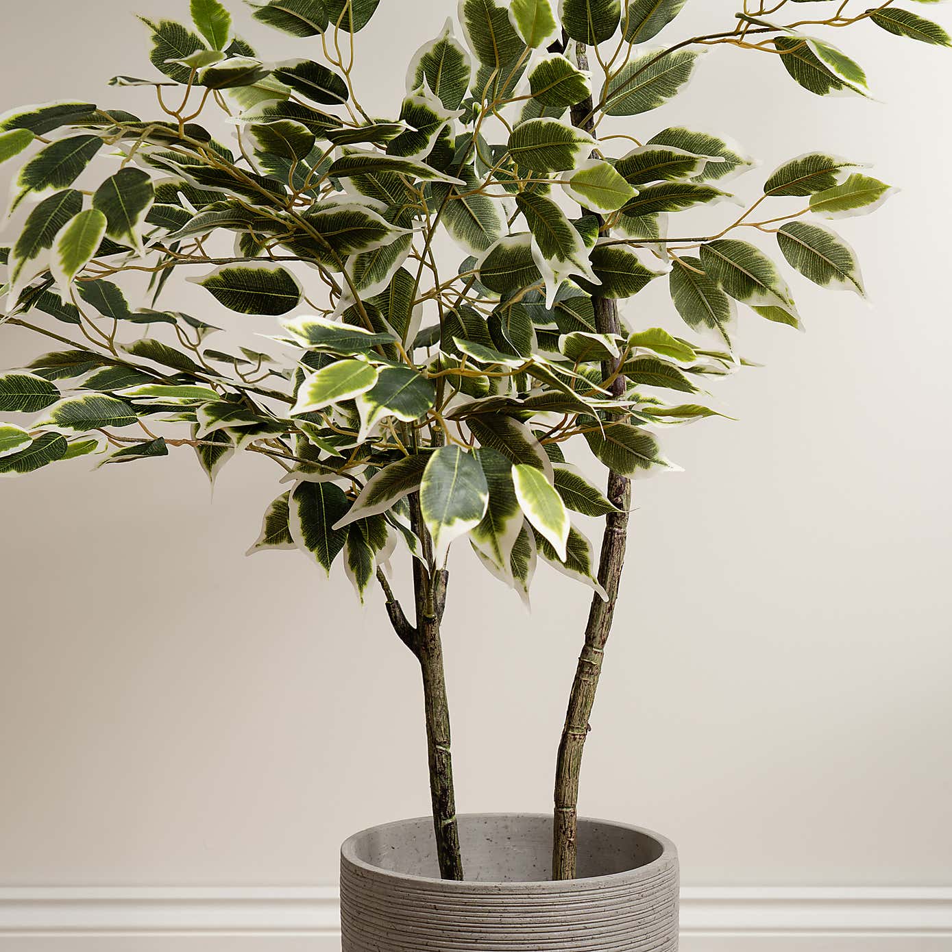 Artificial Variegated Ficus Tree in White Plant Pot