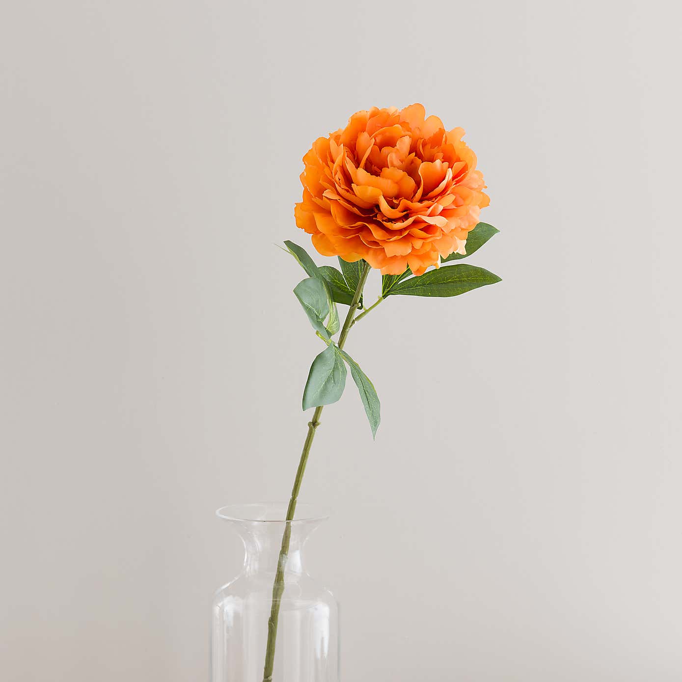 Orange Peony Stem