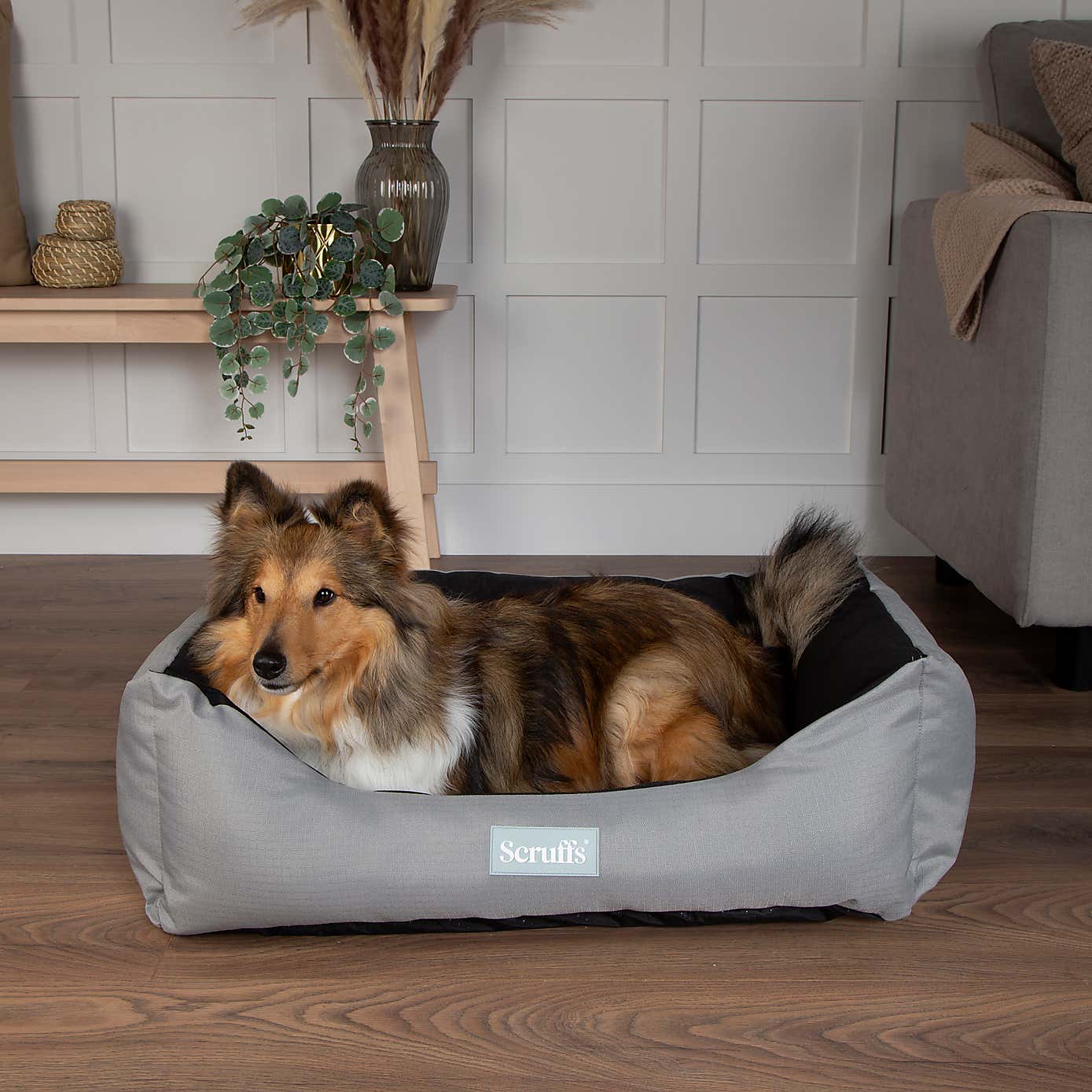 Scruffs Expedition Box Bed