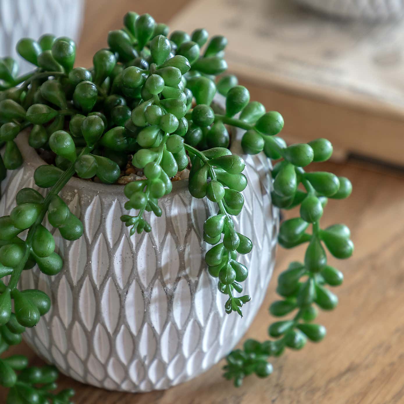 Set of 3 Artificial Succulents in Ceramic Pots