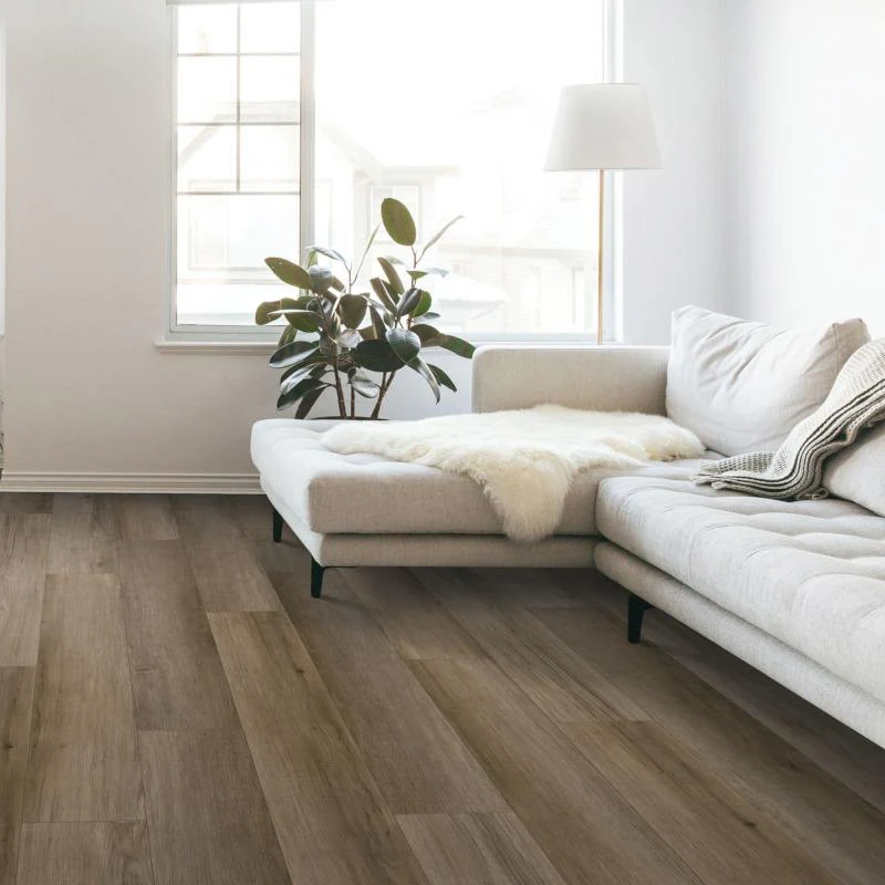 SolidTech Essentials Everett Park - 30% OFF @ Checkout