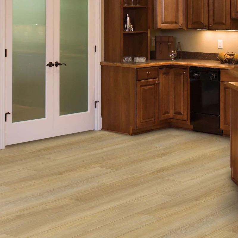 SolidTech Discovery Ridge - 30% off @ Checkout