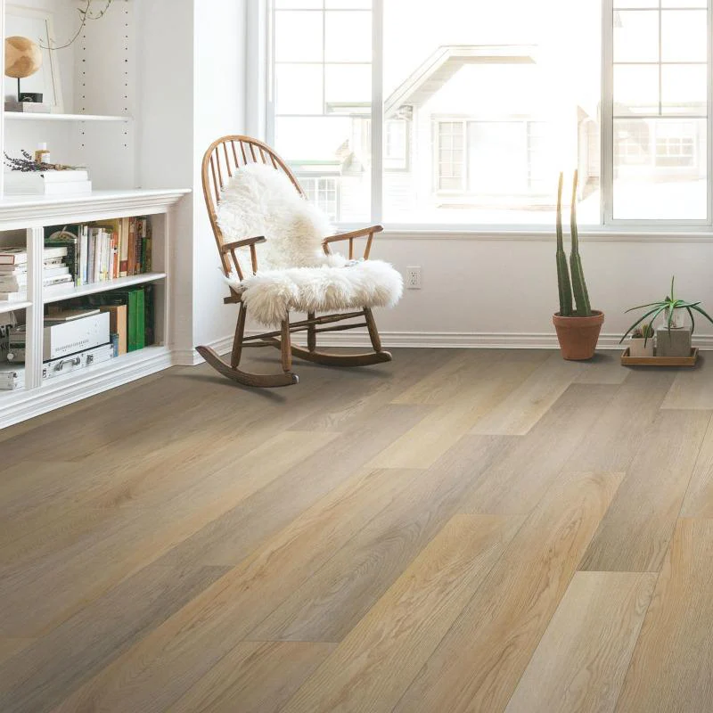 SolidTech Essentials Everett Park - 30% OFF @ Checkout