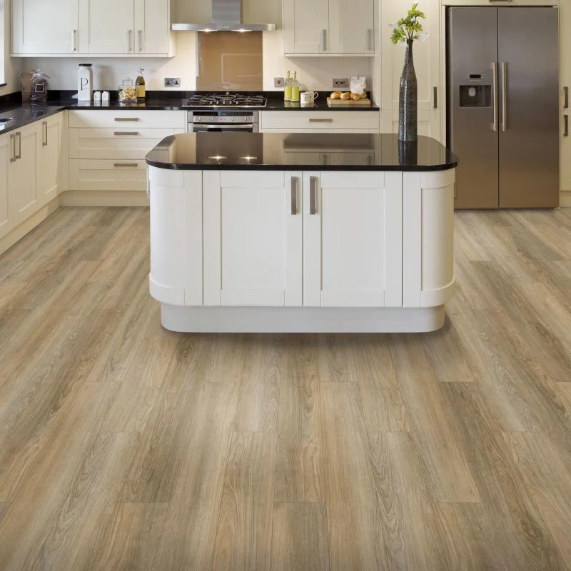 SolidTech Discovery Ridge - 30% off @ Checkout