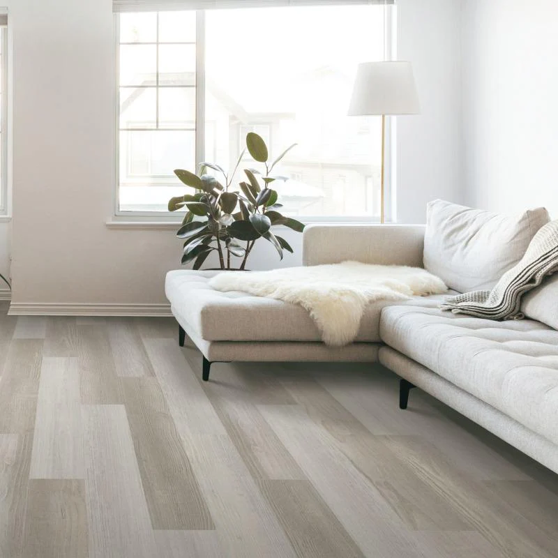 SolidTech Essentials Everett Park - 30% OFF @ Checkout