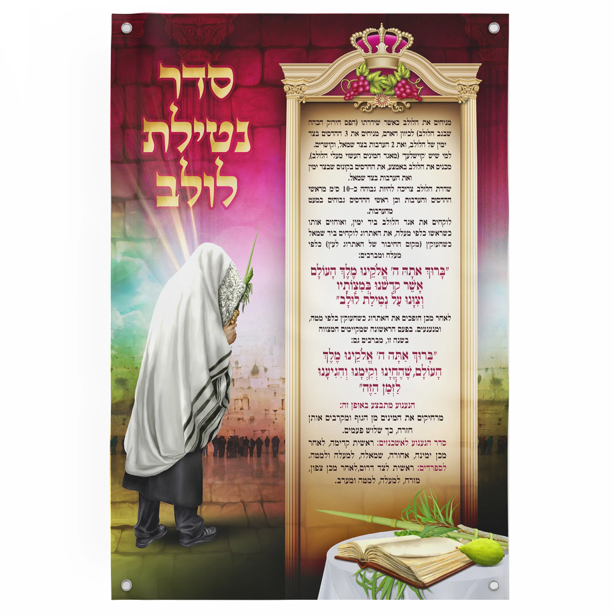 Seder Netilat Lulav Poster - Sukkot Ritual Guide