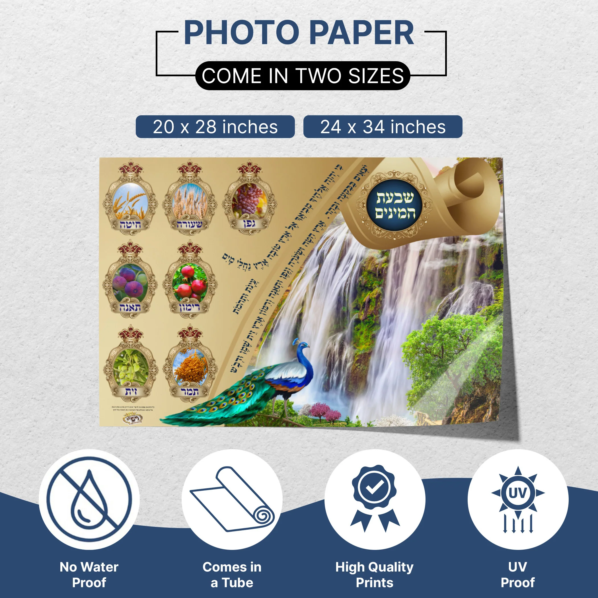 Seven Species Sukkah Poster - Traditional & Artistic Sukkot Mural