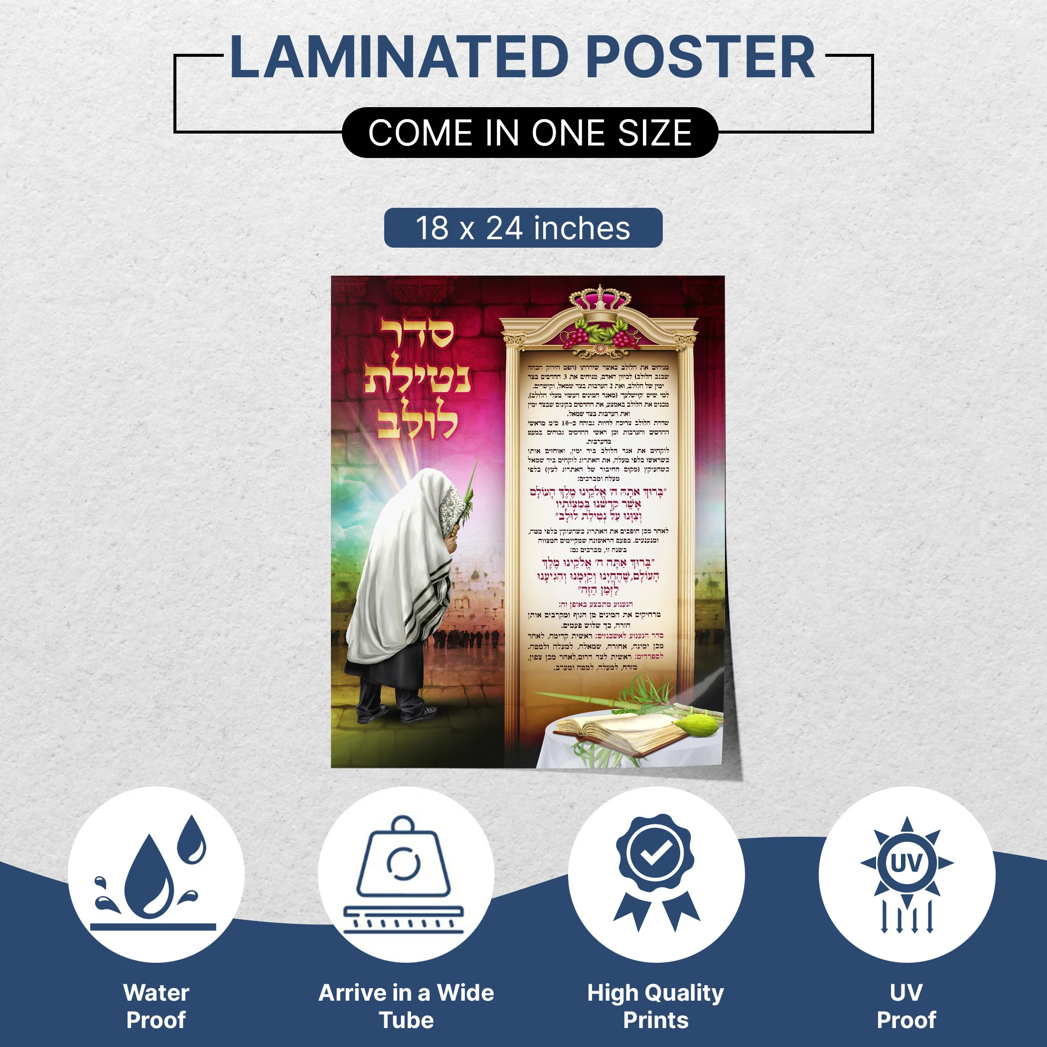 Seder Netilat Lulav Poster - Sukkot Ritual Guide
