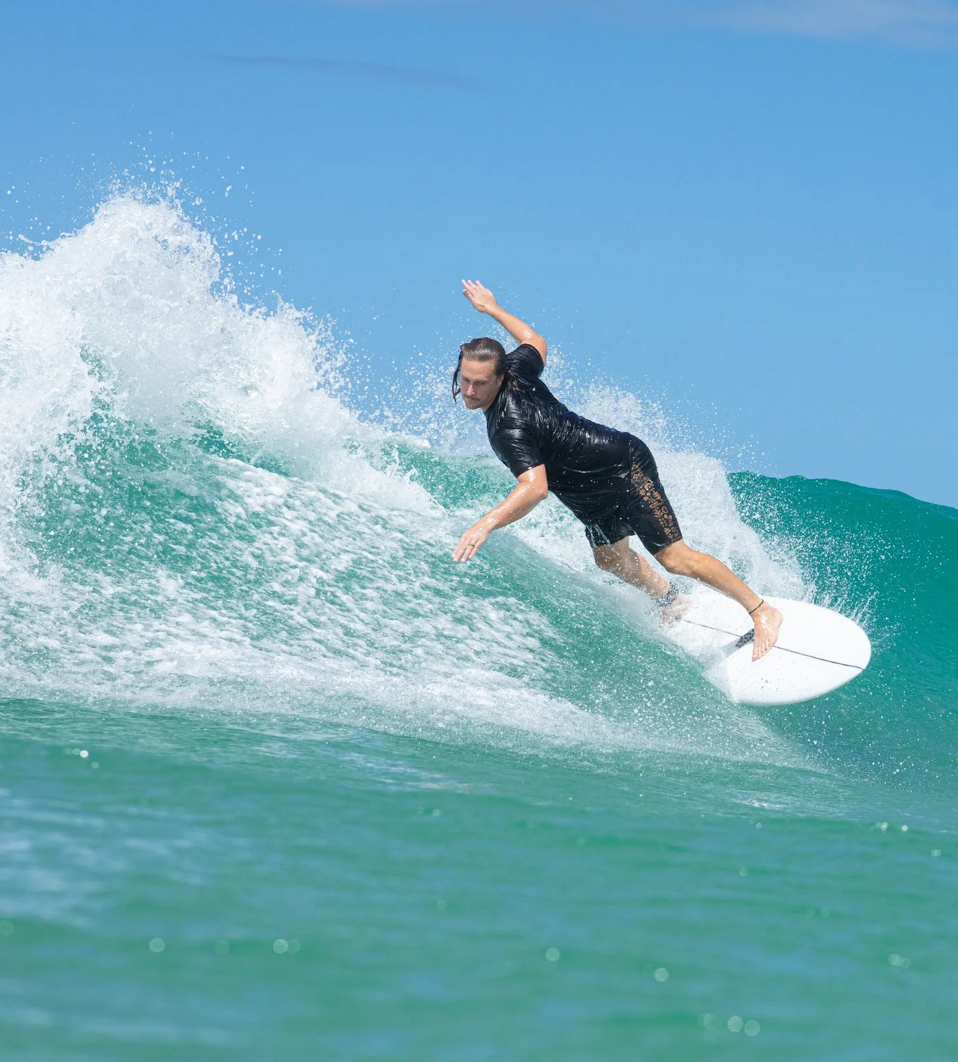 AQSS Day Dreamer Fish