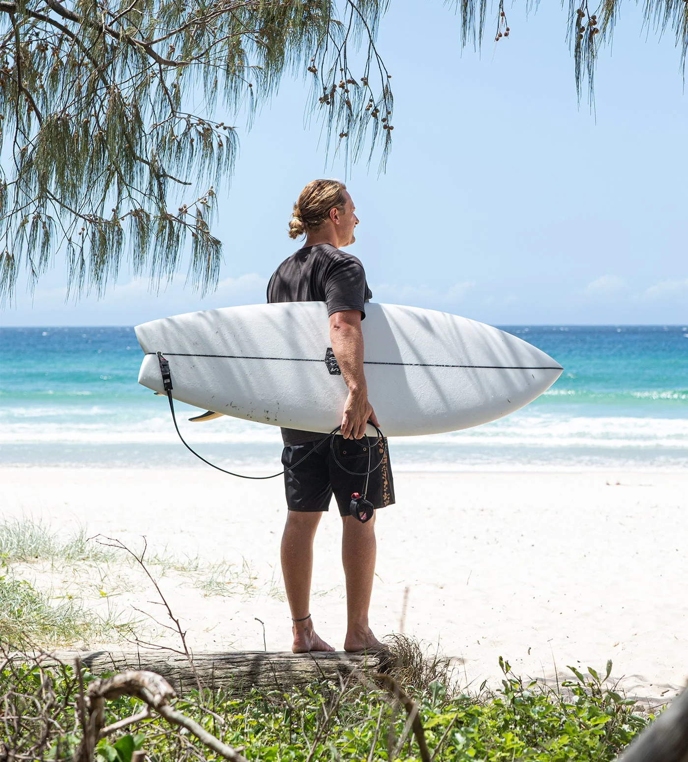 AQSS Day Dreamer Fish