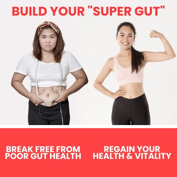 Ultimate Probiotic Yogurt Maker with Two 1-Quart Containers for Larger Batches   Make Trillions of Live Probiotics with Adjustable Temp   Time Control   Best Greek Yogurt Maker   LIFETIME WARRANTY