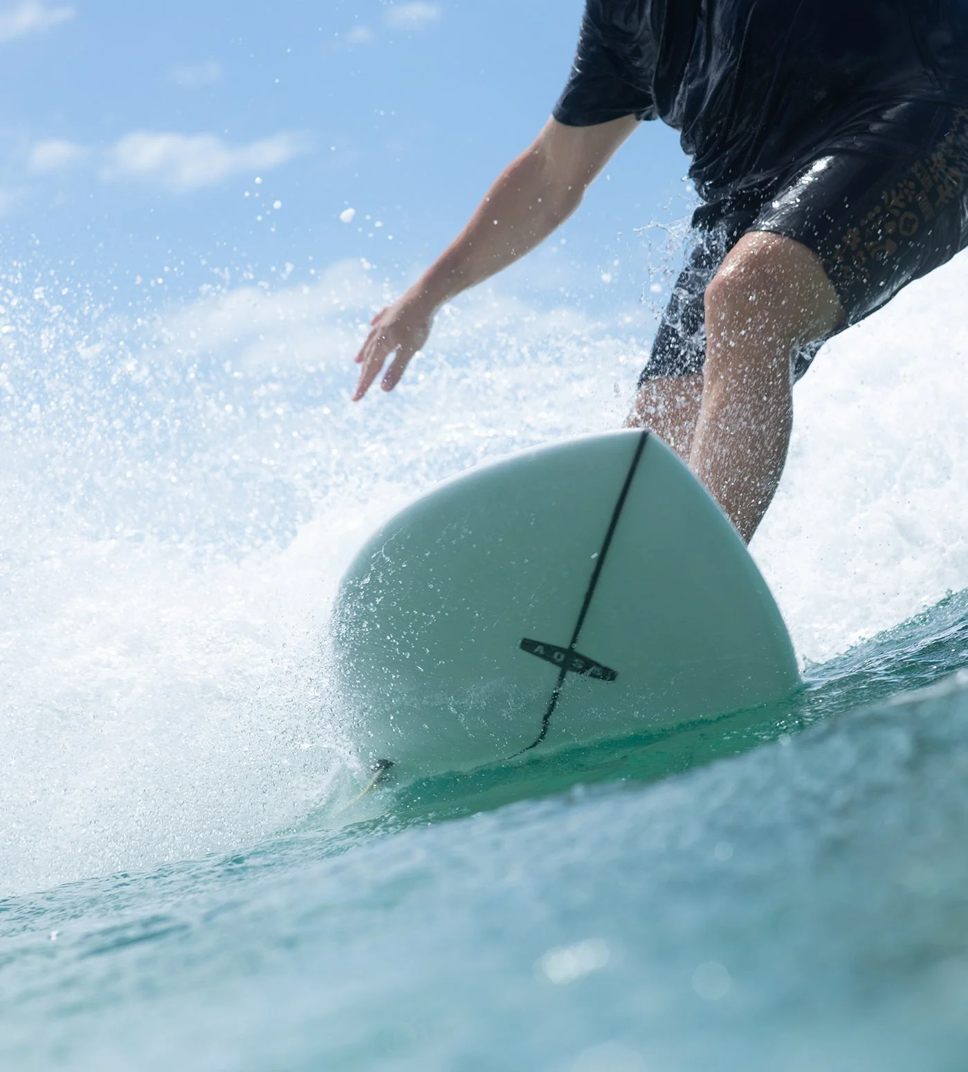 AQSS Day Dreamer Fish