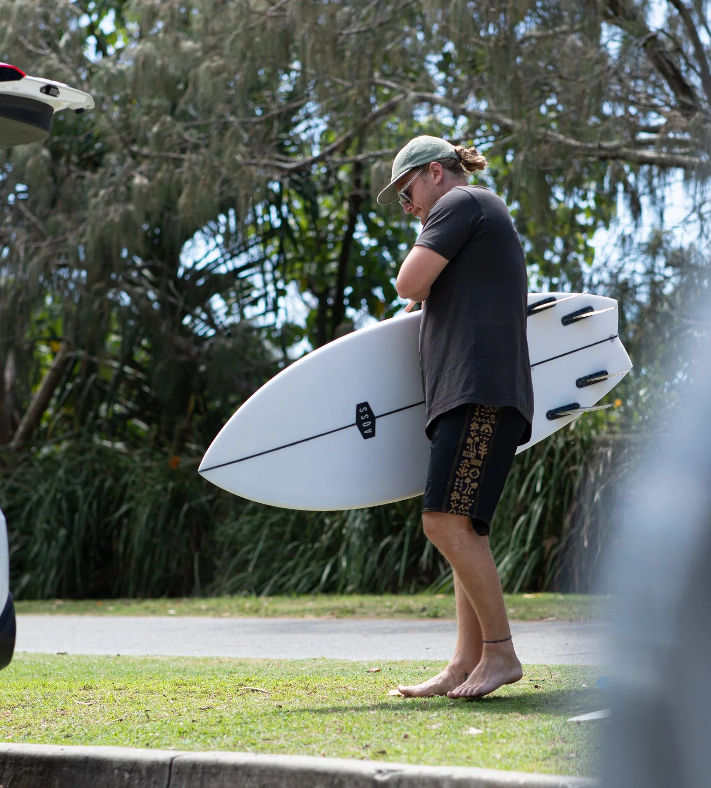 AQSS Day Dreamer Fish